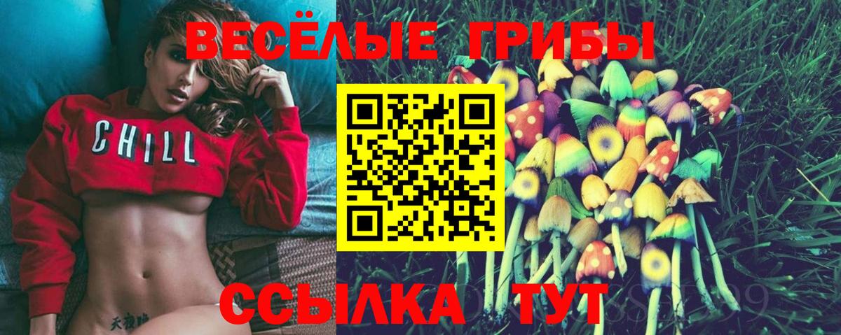 купить   Вход с VPN  Волжский  Галлюциногенные грибы ЛСД 